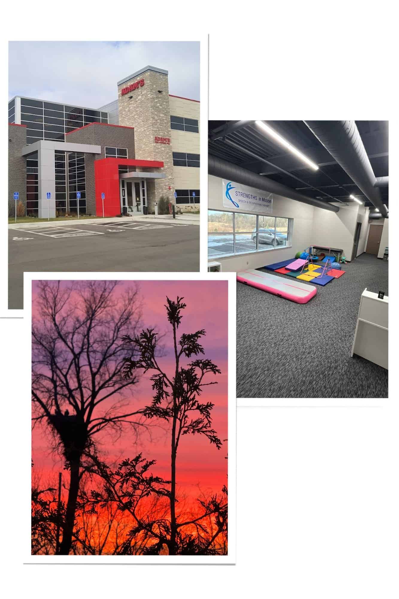 Photo Collage of Clinic and Building with Image of Eagles Nest